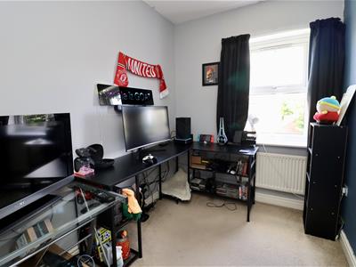 Picture 8